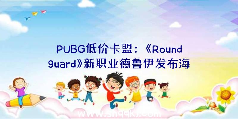 PUBG低价卡盟：《Roundguard》新职业德鲁伊发布海量新技艺、新道具及新义务更新