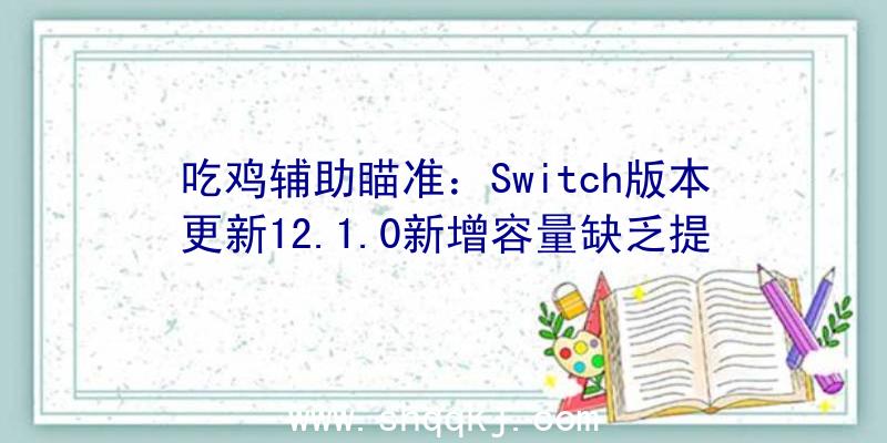 吃鸡辅助瞄准：Switch版本更新12.1.0新增容量缺乏提醒并晋升操作波动性和便利性