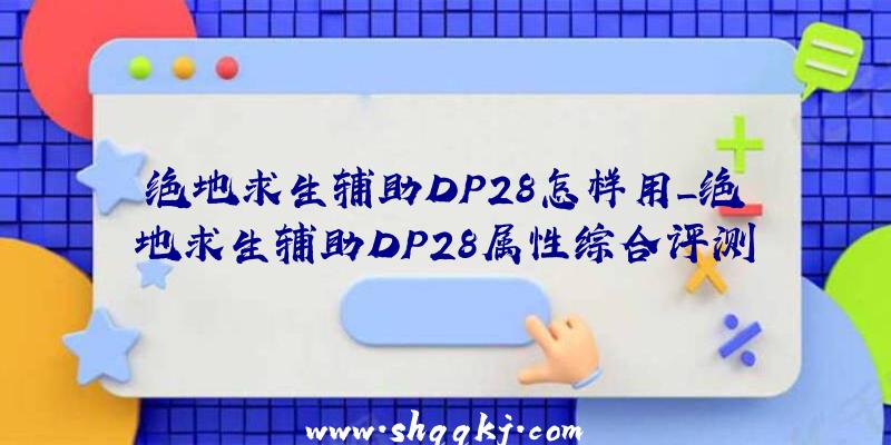 绝地求生辅助DP28怎样用_绝地求生辅助DP28属性综合评测