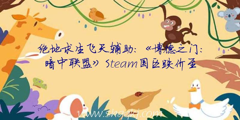 绝地求生飞天辅助：《博德之门：暗中联盟》Steam国区跌价至191.99元仍不支撑中文